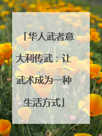 华人武者意大利传武：让武术成为一种生活方式